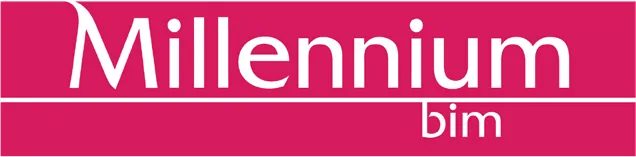 BIM